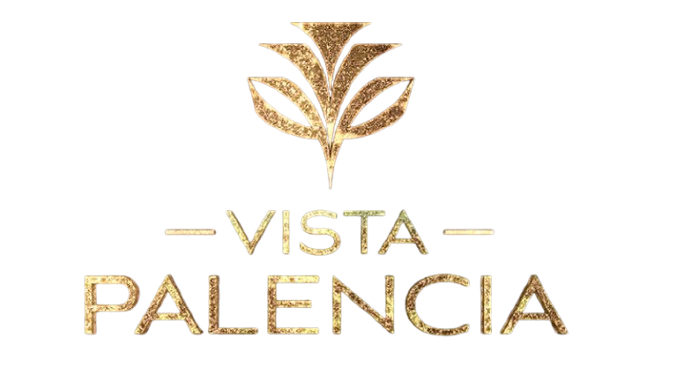 Vista Palencia
